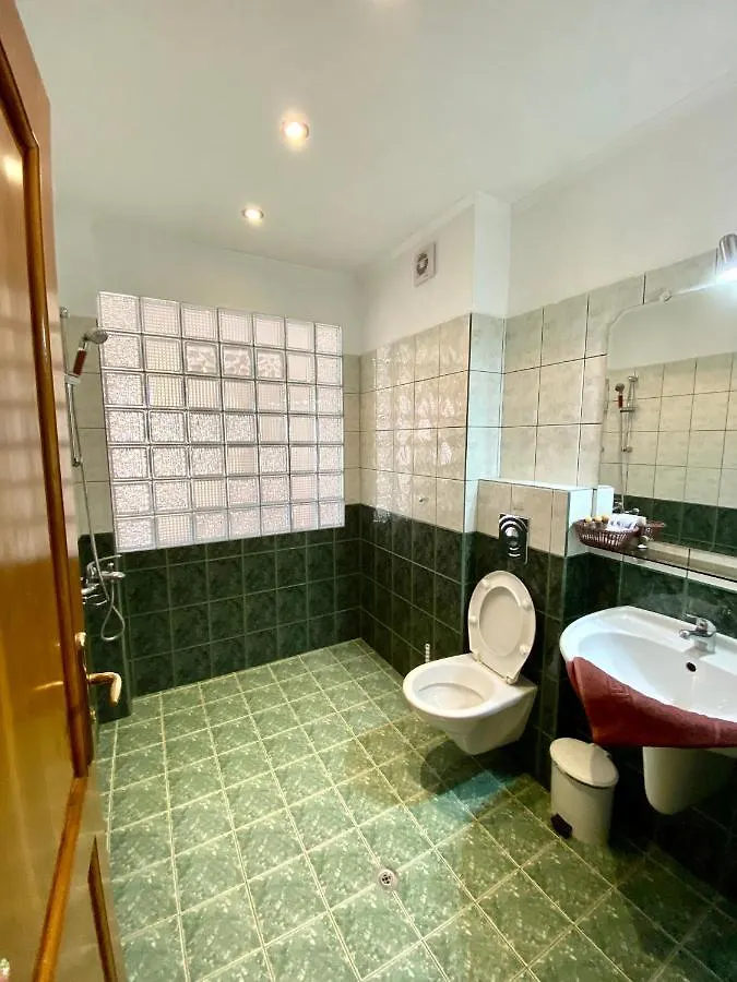 Family Hotel The Golden Fish 索佐波尔